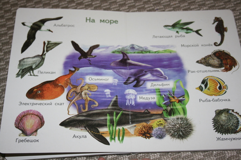 Наше декабрьское чтение