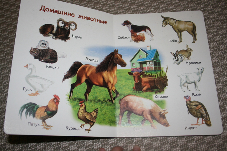 Наше декабрьское чтение