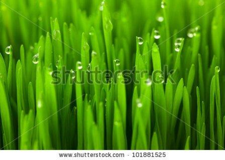 давайте дружить!!!