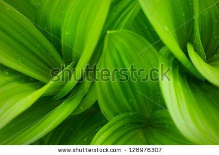 давайте дружить!!!