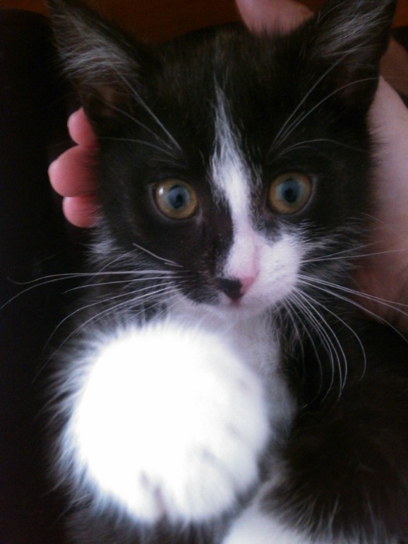 вырос парень)) Марф