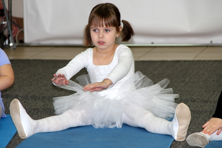 Танцующий лебедь