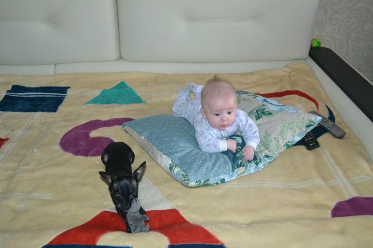 Ребенок и щенок