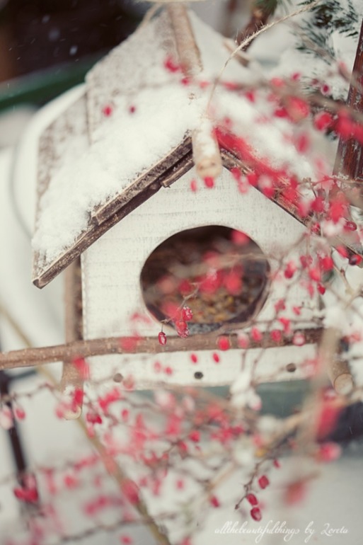 Новогоднее настроение