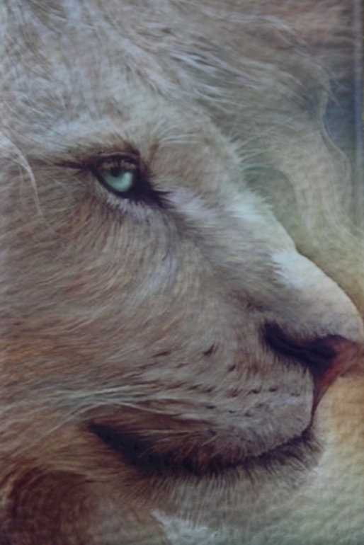 Декупаж на коже в новом году)))