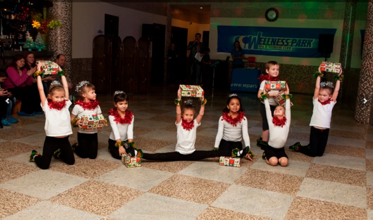 Wellness Park - Новогодняя вечеринка 19.12.13 и участие в Новогоднем аэромарафоне 12.12.13