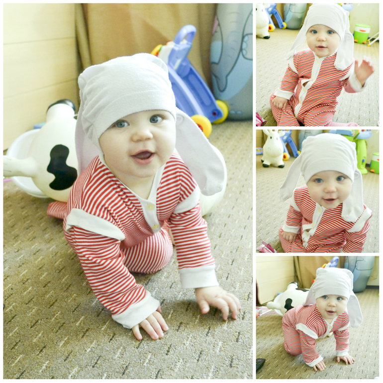 10 месяцев. (очень много фото)