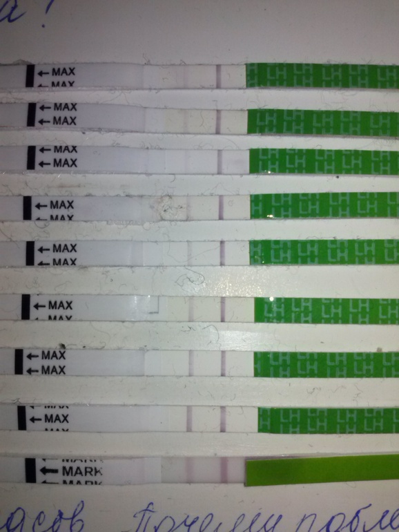 когда была О?