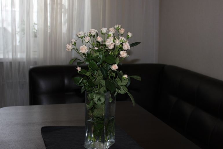 Квартира -амнезия. Часть 3.