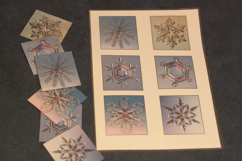 ТН "Новый год"