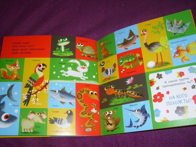 Отчет о лотереи №24