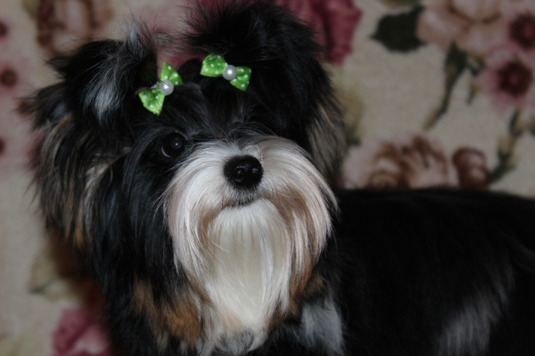 Ну вот мы и подросли) 6.5 мес.