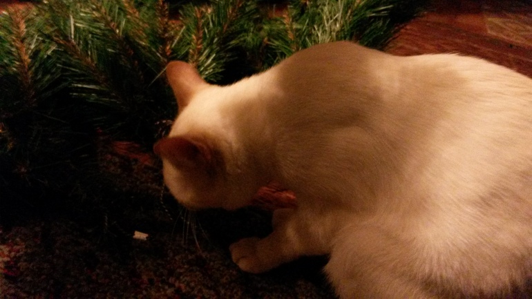 Наш выбражалка. Часть вторая.