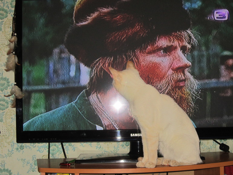 Наш выбражалка. Часть вторая.