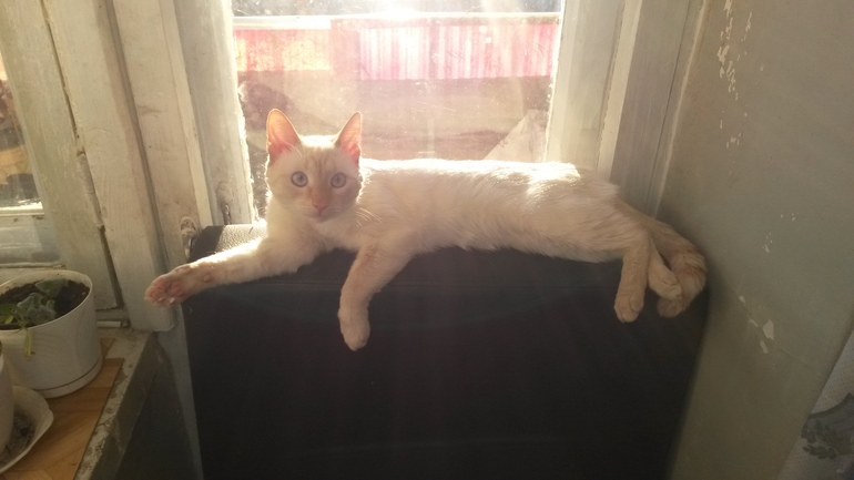 Наш выбражалка. Часть вторая.