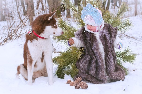 ФотоПроект