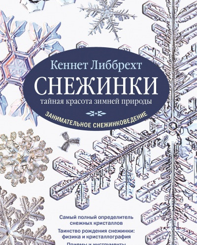 Красота зимней природы для детей Красота зимней природы для детей