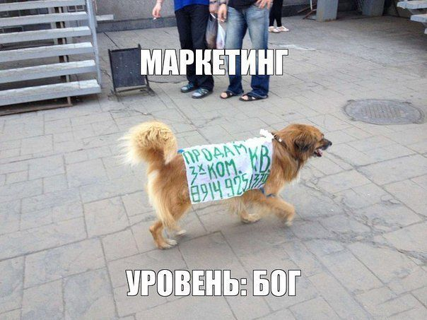 Время улыбнуться:)