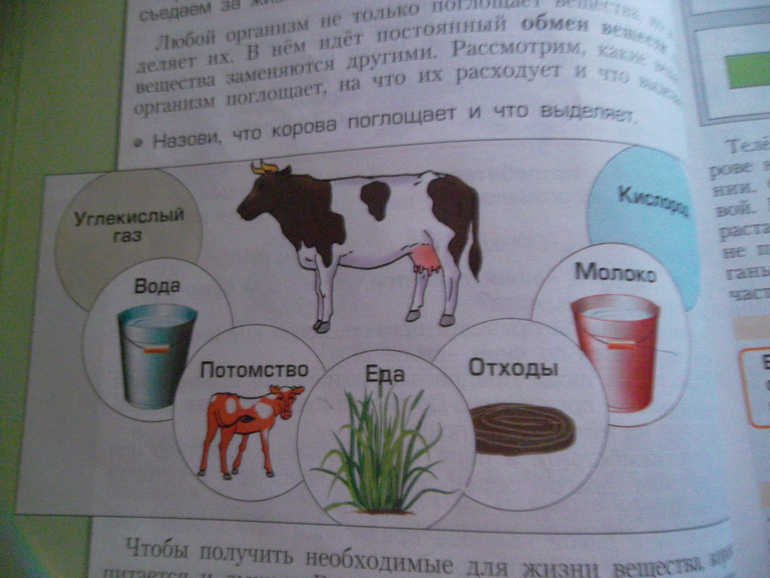 ТЗ