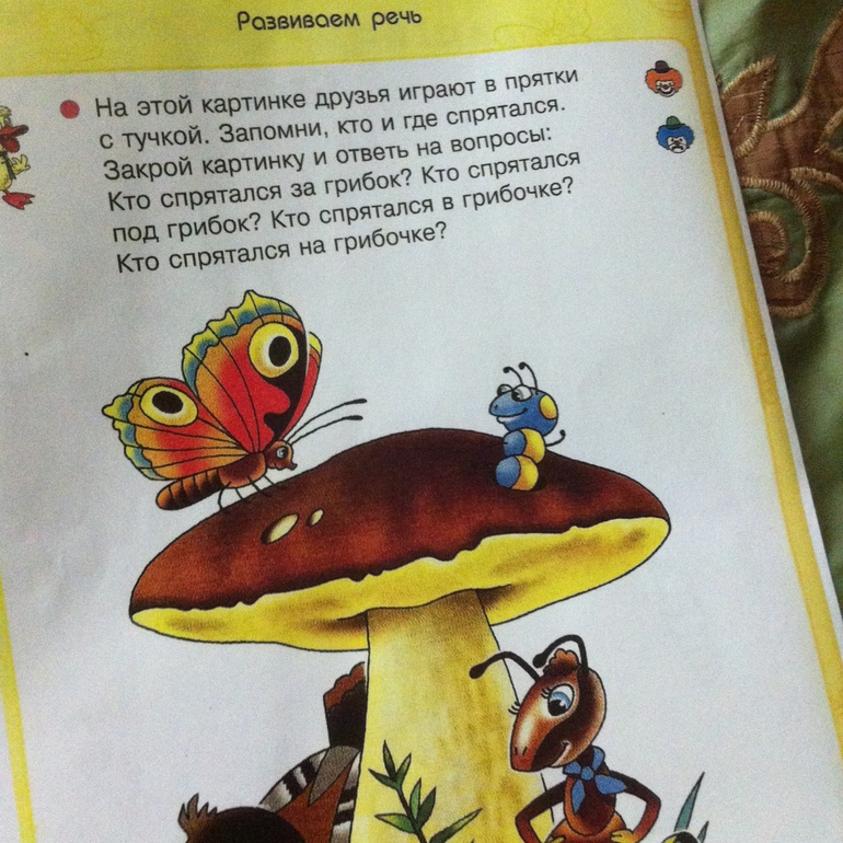 ТЗ "Бабочки-красавицы" в проекте "Гуляем-изучаем"