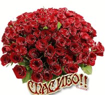Благодарность для Светланы)))