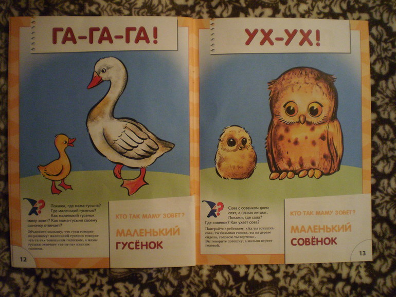 Как мы занимаемся по первой книжке