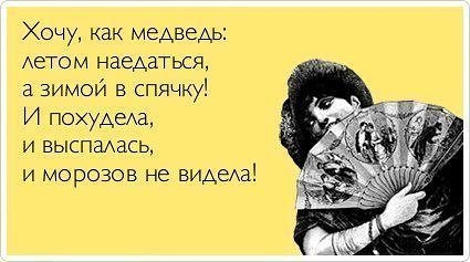 кучка картонок про похуделки