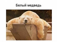 зоопарк