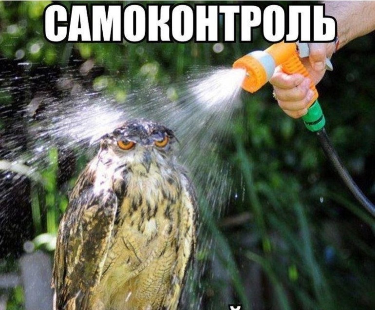 Это я ))))