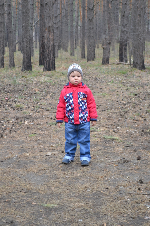 Прогулка в лесу 20.04.2014