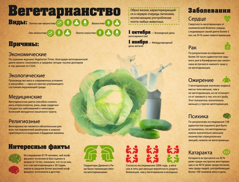 коротко о вегетарианстве :)