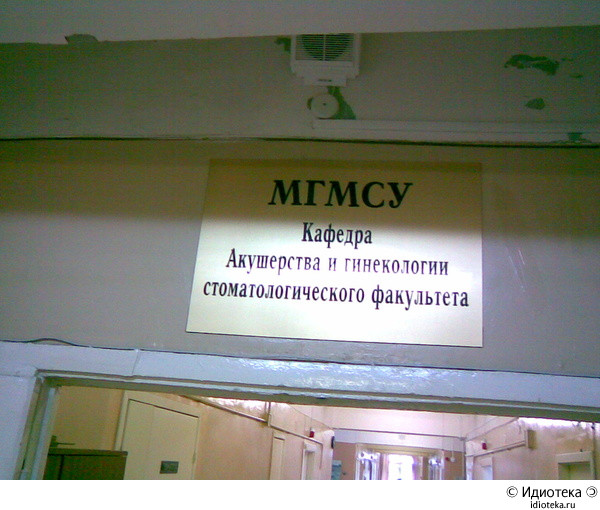 Перлы русского языка в объявлениях
