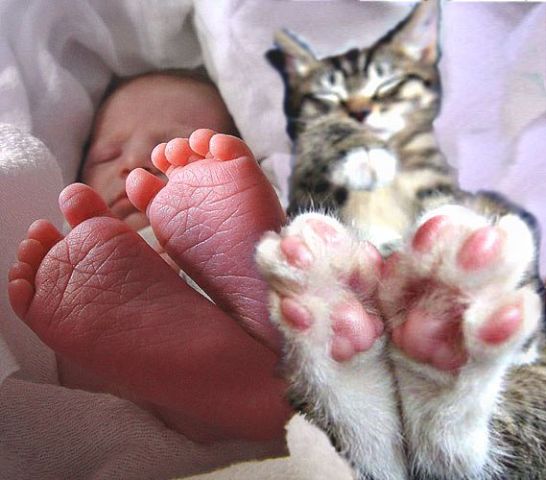 Это нечто! как вам? Желаю всем хочушечкам!
