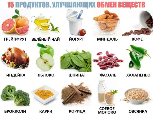 15  продуктов улучшающих обмен веществ в организме