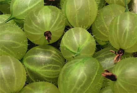 Куплю