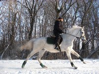 Семейный зимний отдых в Оренбурге