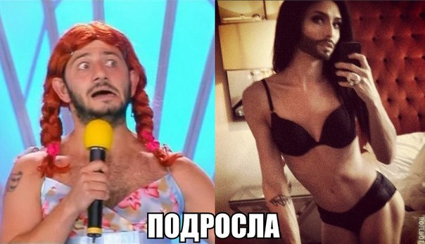 картинки