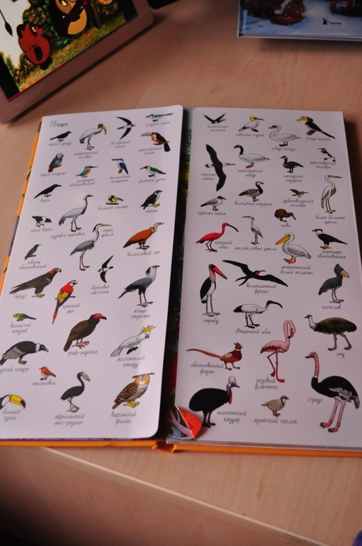 Еще книги.