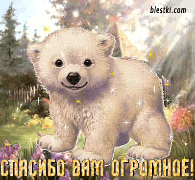 Спасибо