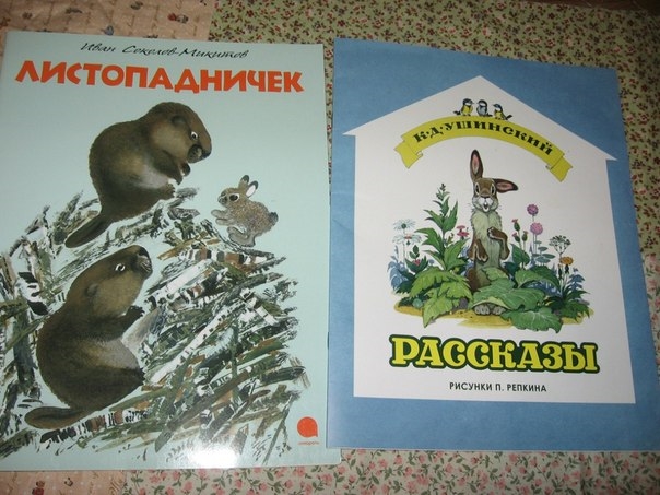 На нашей книжной полочке прибыло