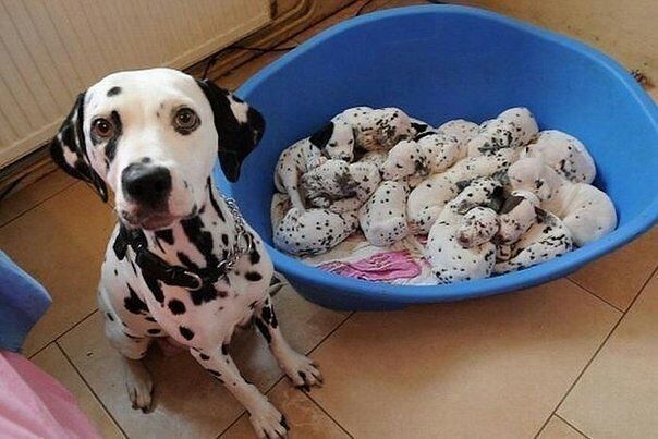 От улыбки, хмурый день светлей и даже ночь:)...