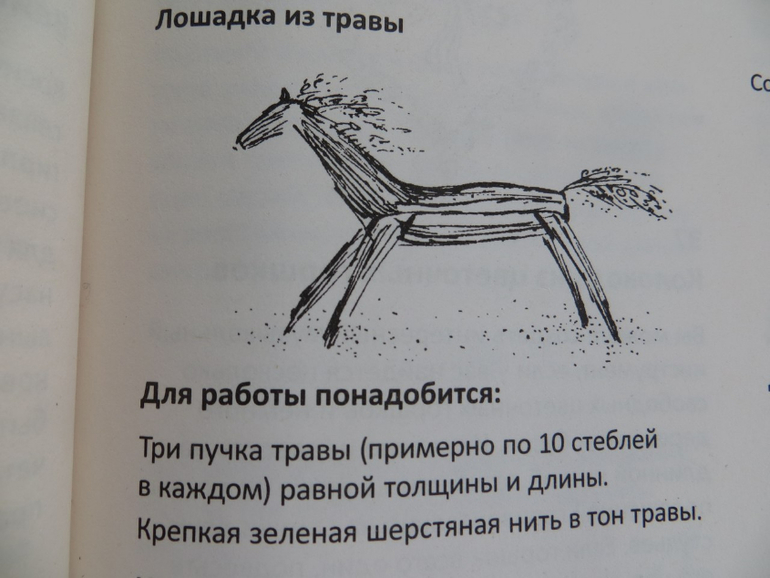 Лошадка