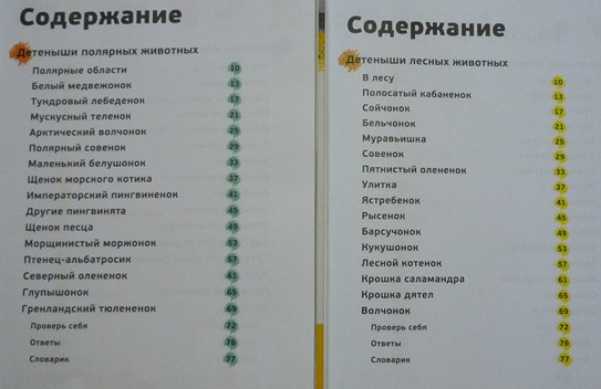 Янины занятия + чтение ( 25 июня) 4,3 года