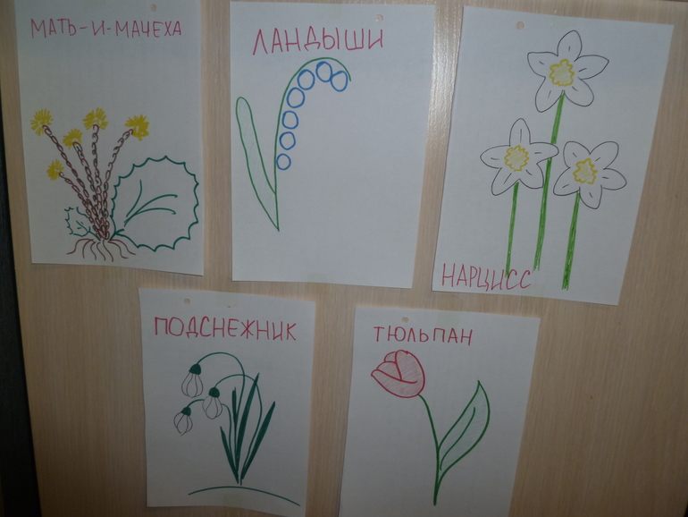 ТН "Цветочное настроение" 1 день