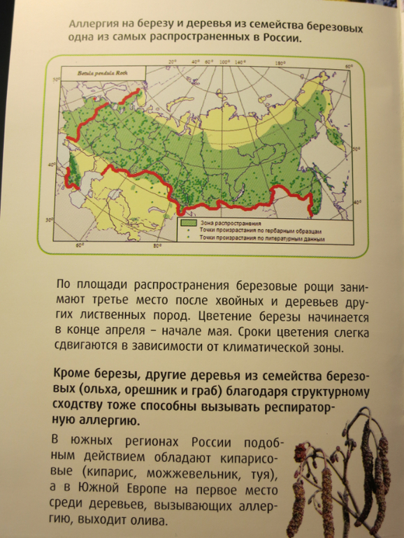 Поллиноз подтвердился.