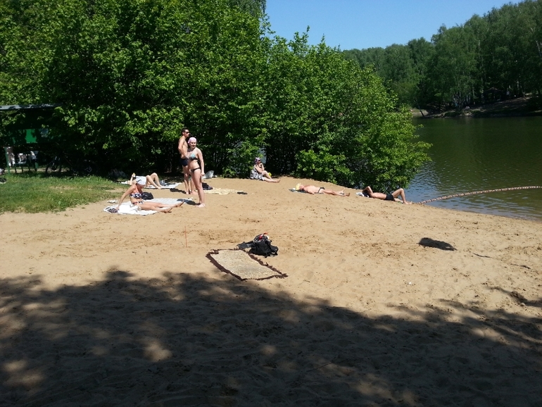 Прогулки