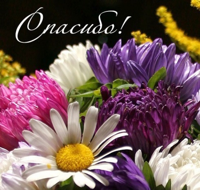 Огромнейшее спасибо!