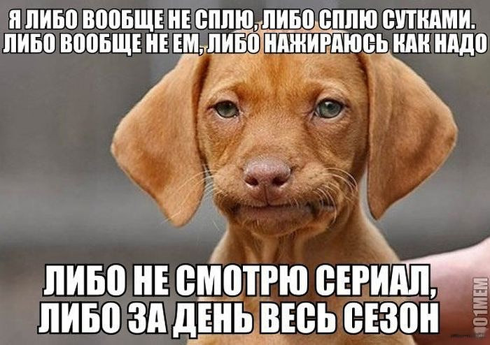 про меня))