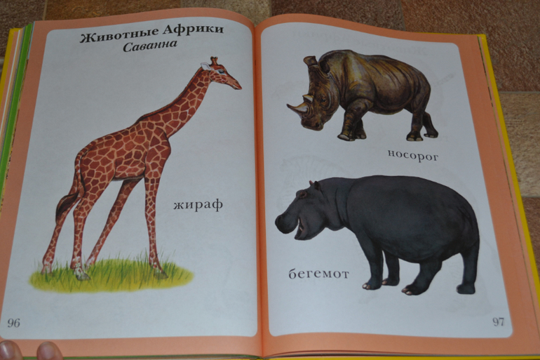 Развивающее пополнение))