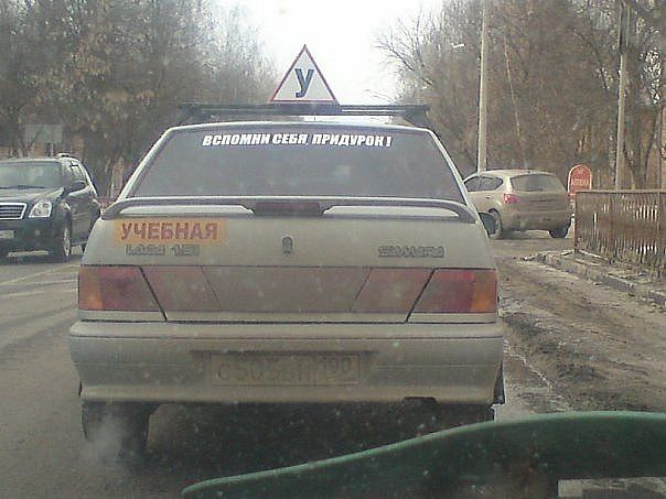 Картинки (много)
